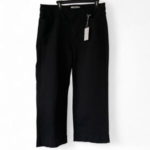 Carly Jean High Rise Wide Leg Black Jeans 1X